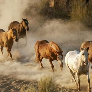 Meet your Posher, Maryanne